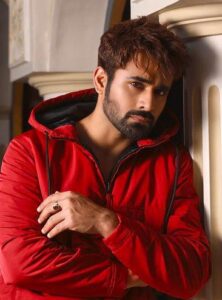 Bigg Boss 20 Pearl V Puri Entry Buzz Takes A Fresh Turn