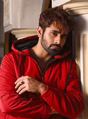 Bigg Boss 20 Pearl V Puri Entry Buzz Takes A Fresh Turn